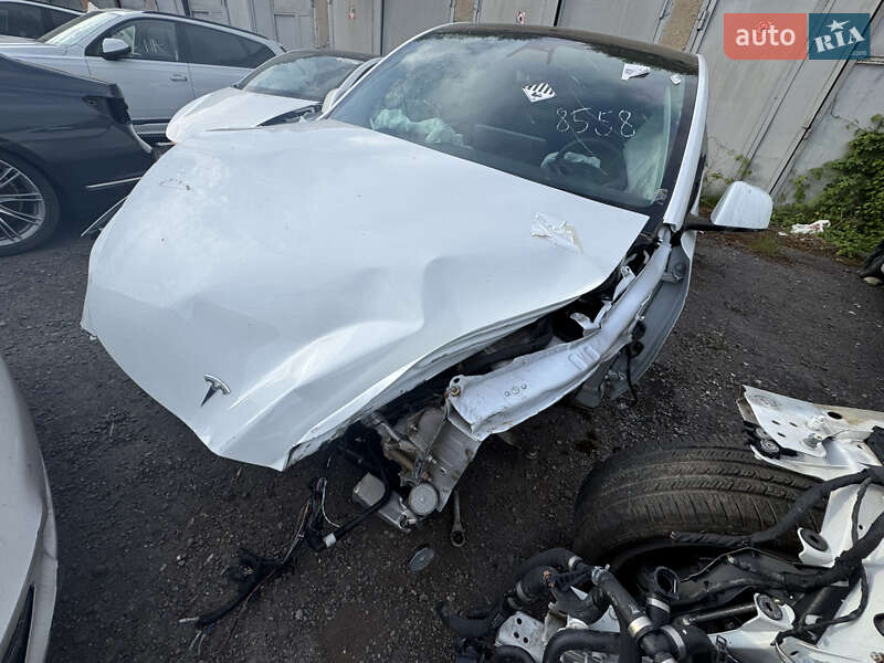 Внедорожник / Кроссовер Tesla Model Y 2021 в Ужгороде