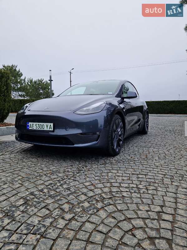 Внедорожник / Кроссовер Tesla Model Y 2022 в Днепре