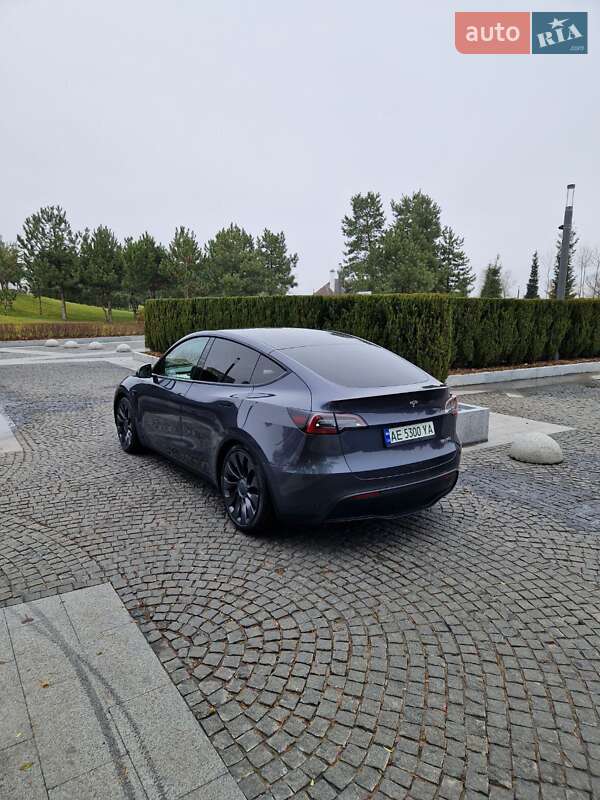 Внедорожник / Кроссовер Tesla Model Y 2022 в Днепре