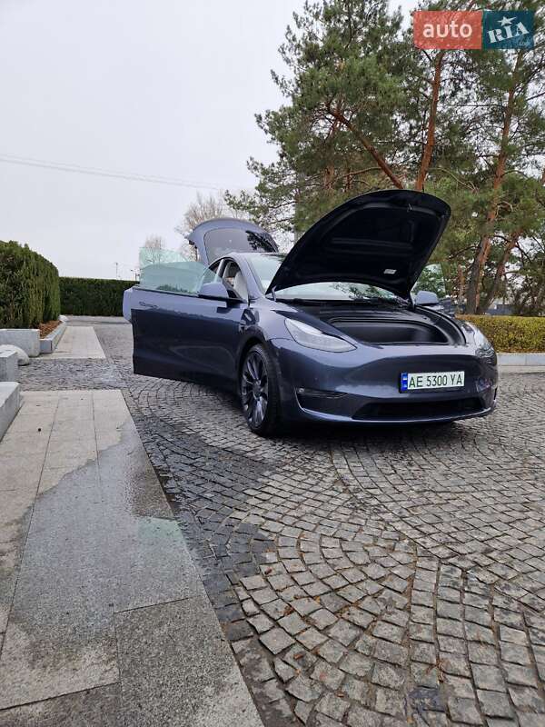 Внедорожник / Кроссовер Tesla Model Y 2022 в Днепре
