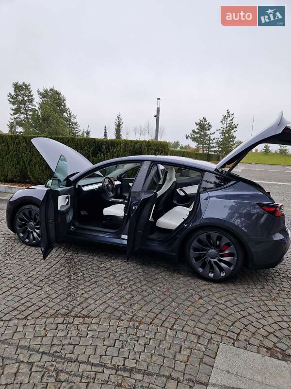 Внедорожник / Кроссовер Tesla Model Y 2022 в Днепре