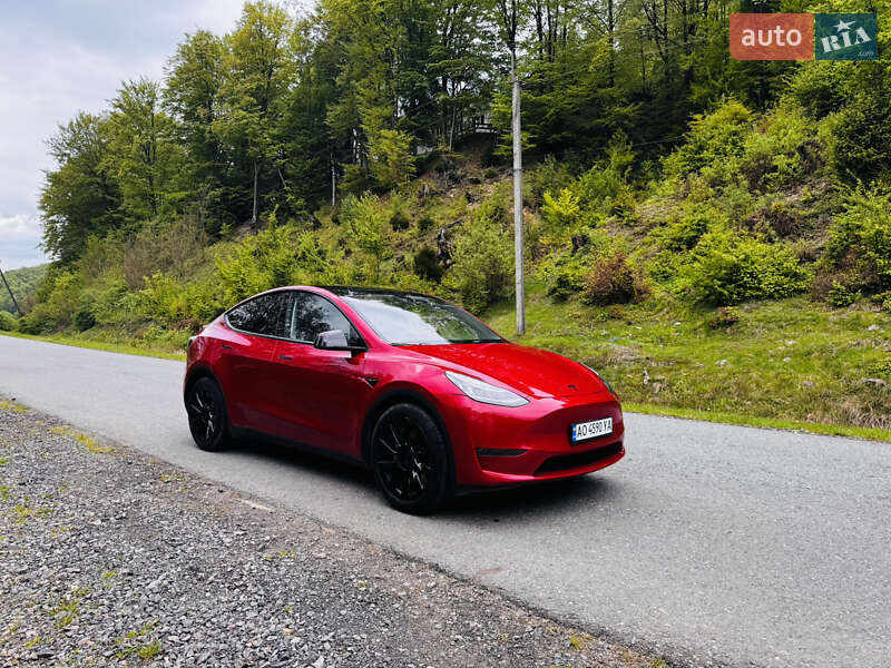 Внедорожник / Кроссовер Tesla Model Y 2023 в Межгорье