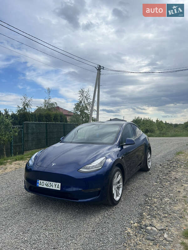 Внедорожник / Кроссовер Tesla Model Y 2022 в Ужгороде