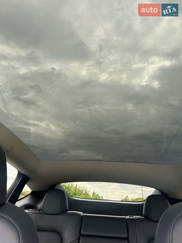 Внедорожник / Кроссовер Tesla Model Y 2022 в Ужгороде