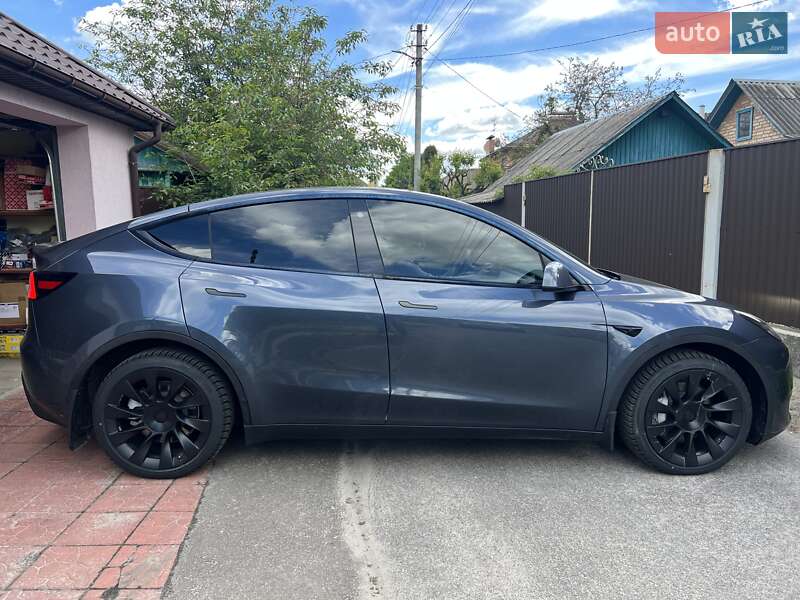 Внедорожник / Кроссовер Tesla Model Y 2023 в Козине