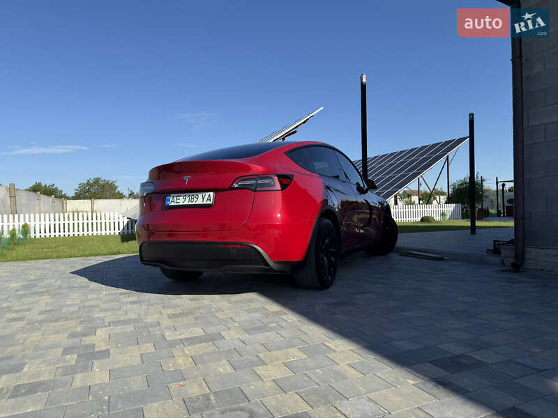 Внедорожник / Кроссовер Tesla Model Y 2023 в Днепре