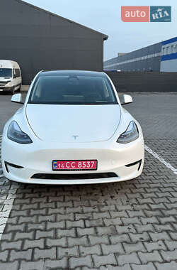 Внедорожник / Кроссовер Tesla Model Y 2023 в Черновцах