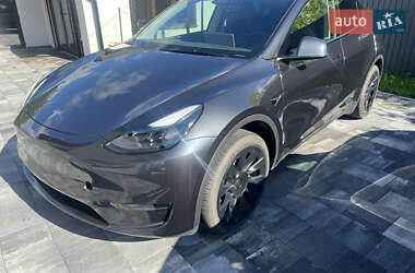 Внедорожник / Кроссовер Tesla Model Y 2024 в Староконстантинове
