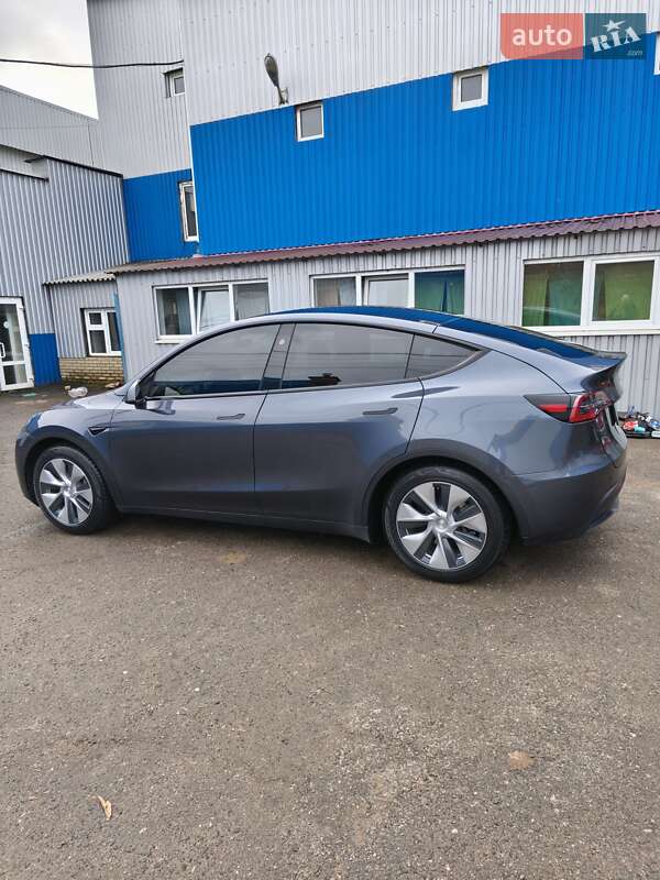 Позашляховик / Кросовер Tesla Model Y 2023 в Білій Церкві