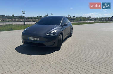 Внедорожник / Кроссовер Tesla Model Y 2023 в 