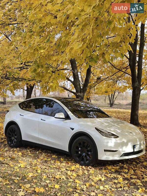 Позашляховик / Кросовер Tesla Model Y 2022 в Дніпрі