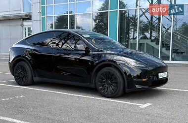 Внедорожник / Кроссовер Tesla Model Y 2023 в 