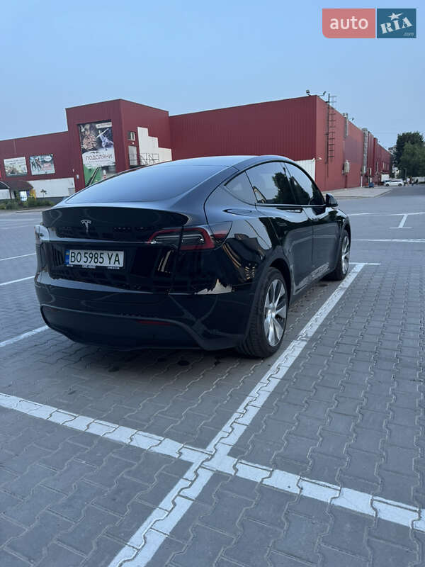Внедорожник / Кроссовер Tesla Model Y 2023 в Тернополе