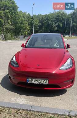 Внедорожник / Кроссовер Tesla Model Y 2021 в Кобеляках