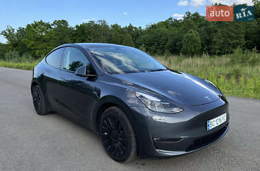 Внедорожник / Кроссовер Tesla Model Y 2023 в Дрогобыче