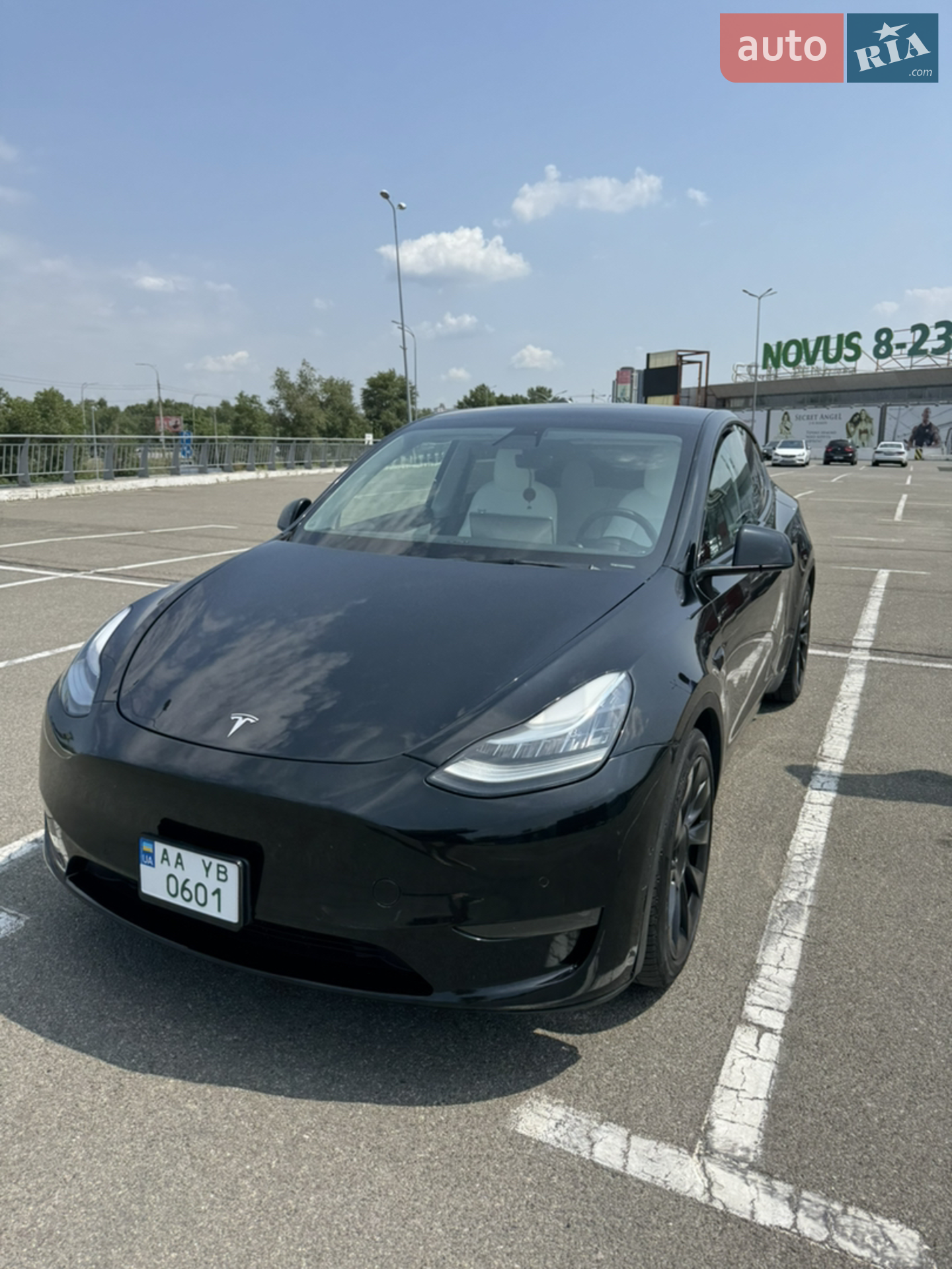 2021 Tesla Model Y - мініатюра 2