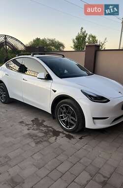 Внедорожник / Кроссовер Tesla Model Y 2023 в Ивано-Франковске