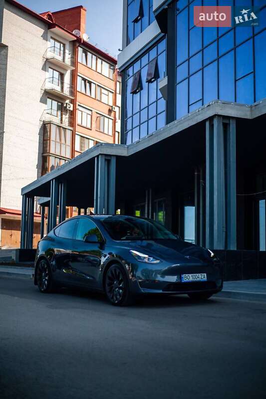 Внедорожник / Кроссовер Tesla Model Y 2022 в 
