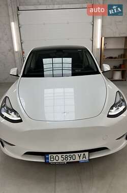 Внедорожник / Кроссовер Tesla Model Y 2024 в 