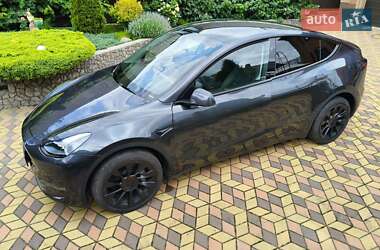 Внедорожник / Кроссовер Tesla Model Y 2024 в 
