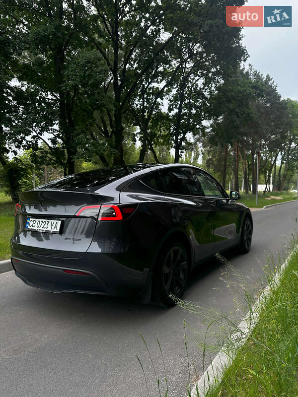 Позашляховик / Кросовер Tesla Model Y 2024 в Чернігові