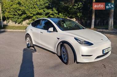 Внедорожник / Кроссовер Tesla Model Y 2023 в Звягеле