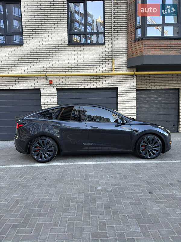Внедорожник / Кроссовер Tesla Model Y 2024 в Житомире