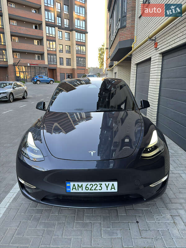 Внедорожник / Кроссовер Tesla Model Y 2024 в Житомире