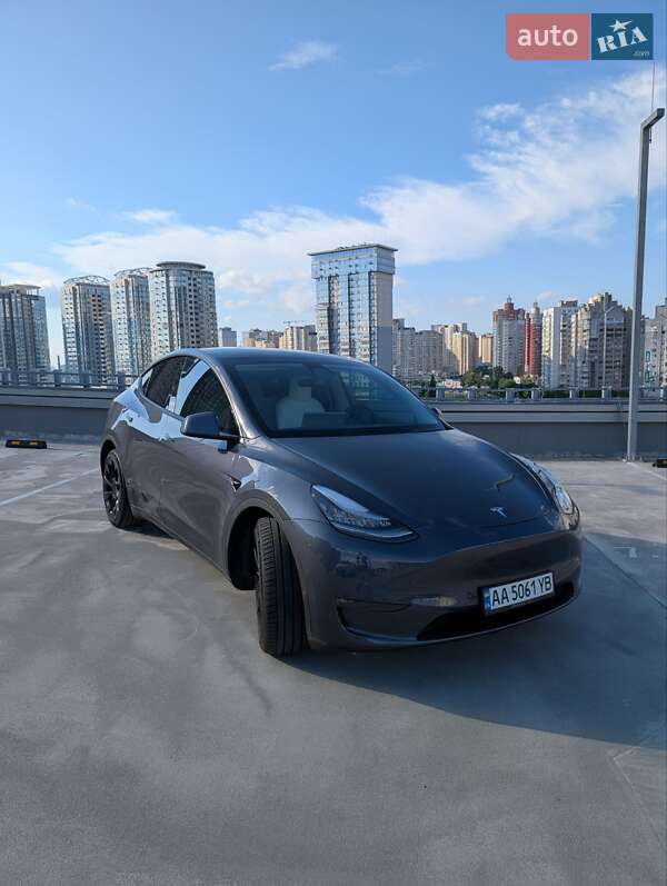 Внедорожник / Кроссовер Tesla Model Y 2022 в 