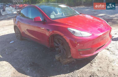 Позашляховик / Кросовер Tesla Model Y 2024 в 