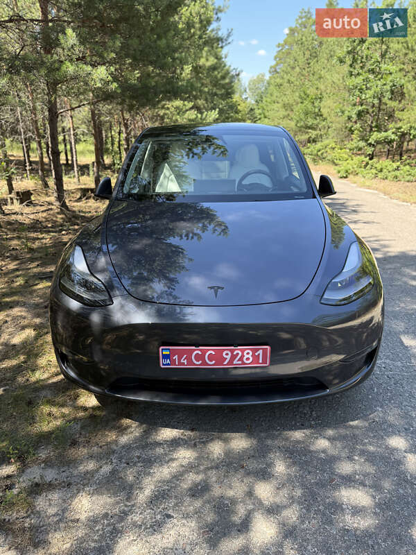 Позашляховик / Кросовер Tesla Model Y 2023 в Києві