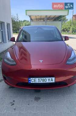 Внедорожник / Кроссовер Tesla Model Y 2024 в Сторожинце