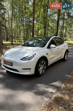 Позашляховик / Кросовер Tesla Model Y 2022 в Ірпені