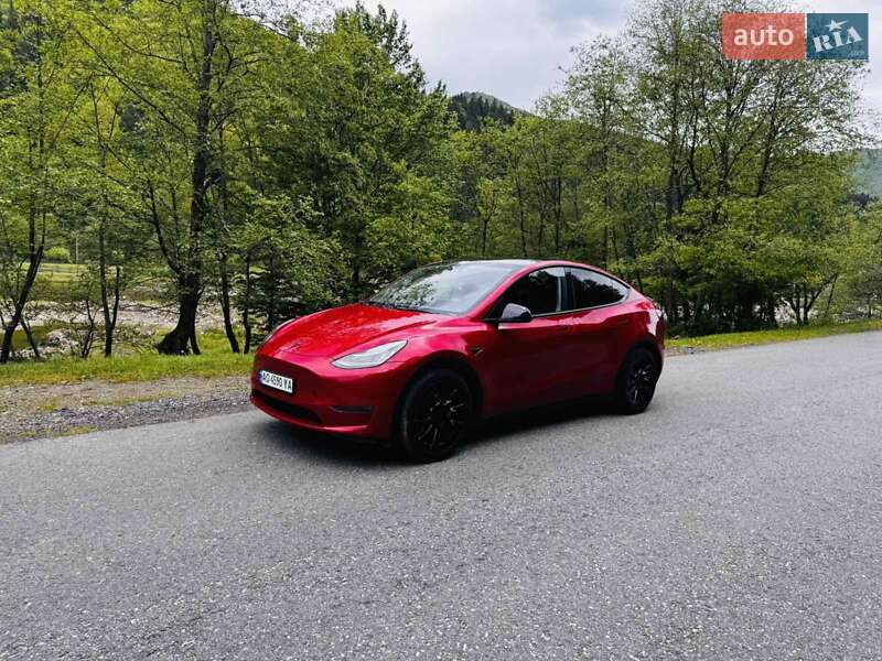 Позашляховик / Кросовер Tesla Model Y 2023 в Міжгір'ї