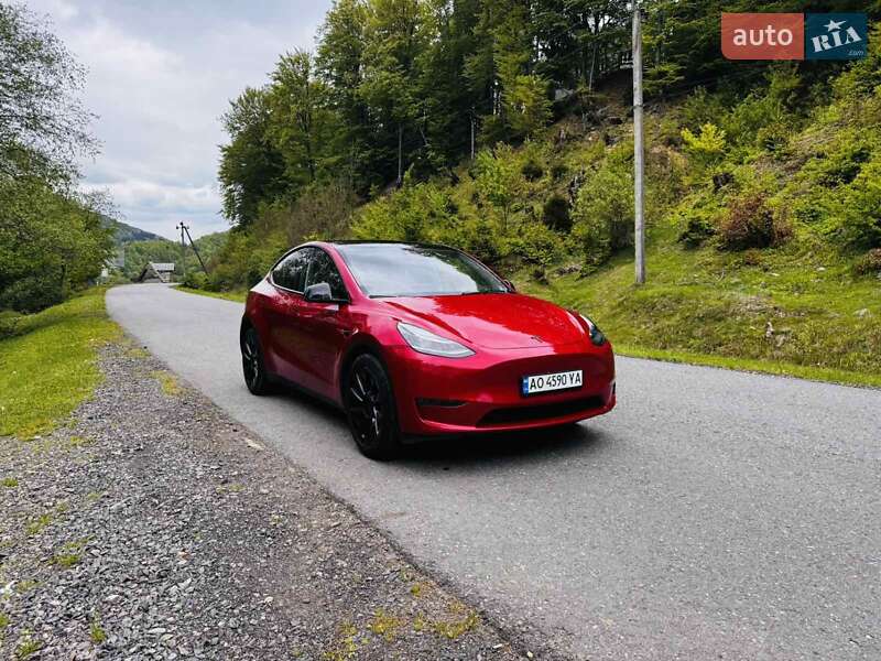 Позашляховик / Кросовер Tesla Model Y 2023 в Міжгір'ї