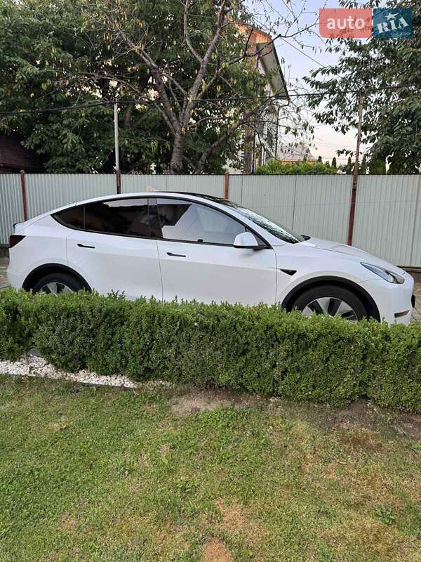 Позашляховик / Кросовер Tesla Model Y 2022 в Чернівцях