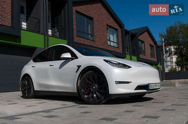 Позашляховик / Кросовер Tesla Model Y 2020 в 
