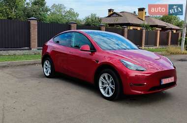 Внедорожник / Кроссовер Tesla Model Y 2023 в Полтаве