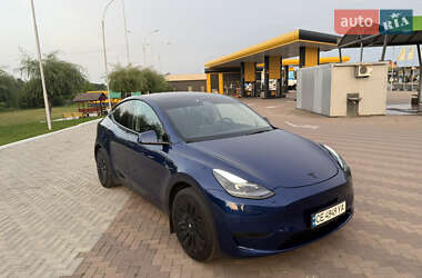Внедорожник / Кроссовер Tesla Model Y 2023 в 