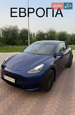 Позашляховик / Кросовер Tesla Model Y 2023 в Чернівцях