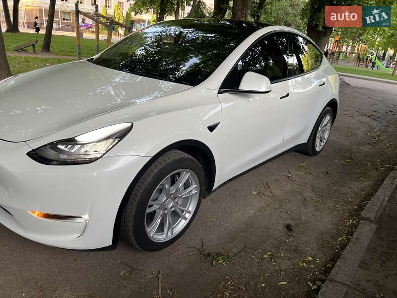 Внедорожник / Кроссовер Tesla Model Y 2023 в Житомире