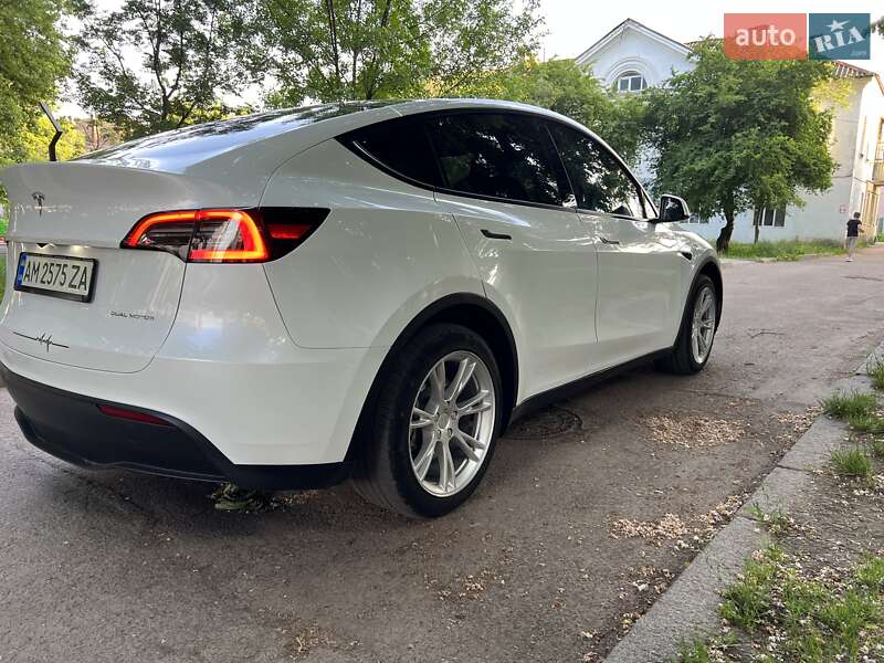 Внедорожник / Кроссовер Tesla Model Y 2023 в Житомире
