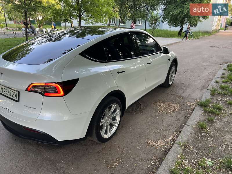 Внедорожник / Кроссовер Tesla Model Y 2023 в Житомире