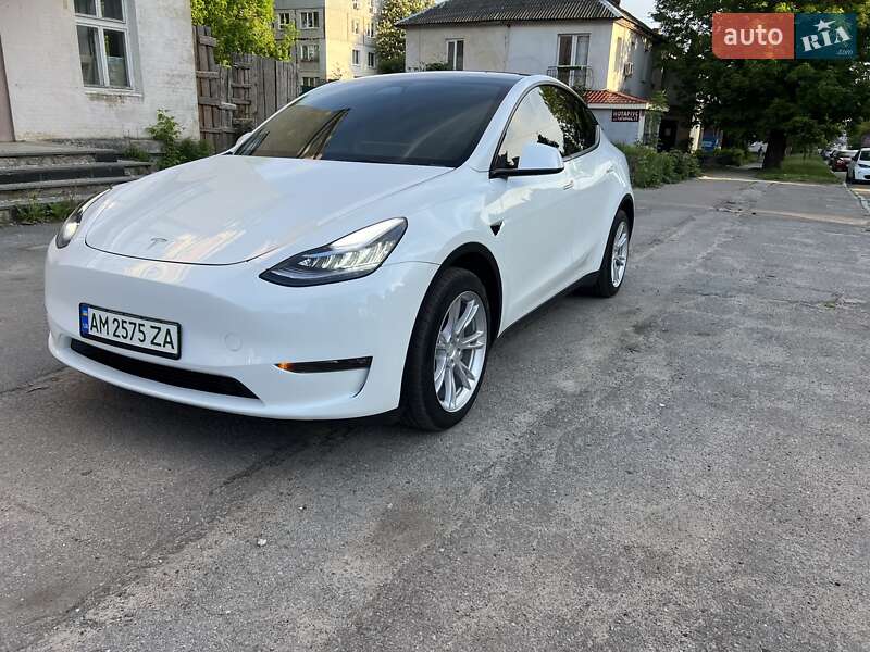 Внедорожник / Кроссовер Tesla Model Y 2023 в Житомире