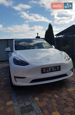 Позашляховик / Кросовер Tesla Model Y 2023 в Києві