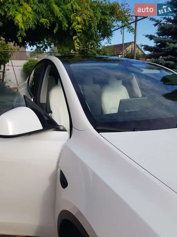 Внедорожник / Кроссовер Tesla Model Y 2023 в Киеве