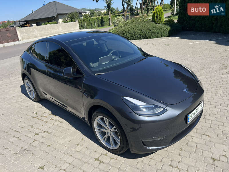Внедорожник / Кроссовер Tesla Model Y 2024 в Тернополе