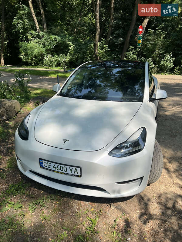 Внедорожник / Кроссовер Tesla Model Y 2020 в Черновцах