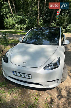 Внедорожник / Кроссовер Tesla Model Y 2020 в 