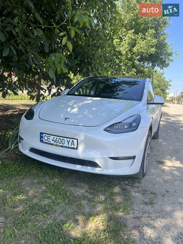 Внедорожник / Кроссовер Tesla Model Y 2020 в 